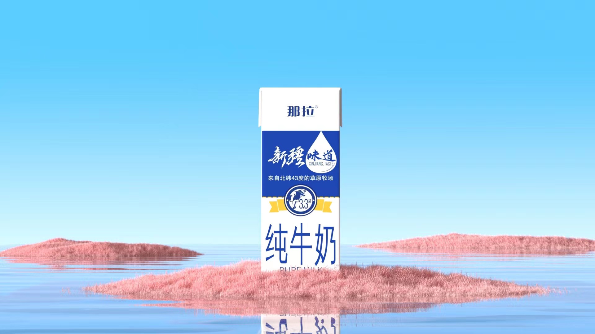 【上新了！】新品快來看看吧！
